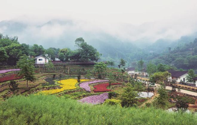 ” 乡村振兴“燎原风”新葡京民宿经济“星星火(图2) ” 乡村振兴“燎原风”新葡京民宿经济“星星火(图2)